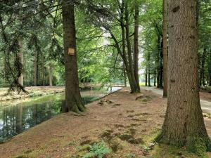 schlosspark 1